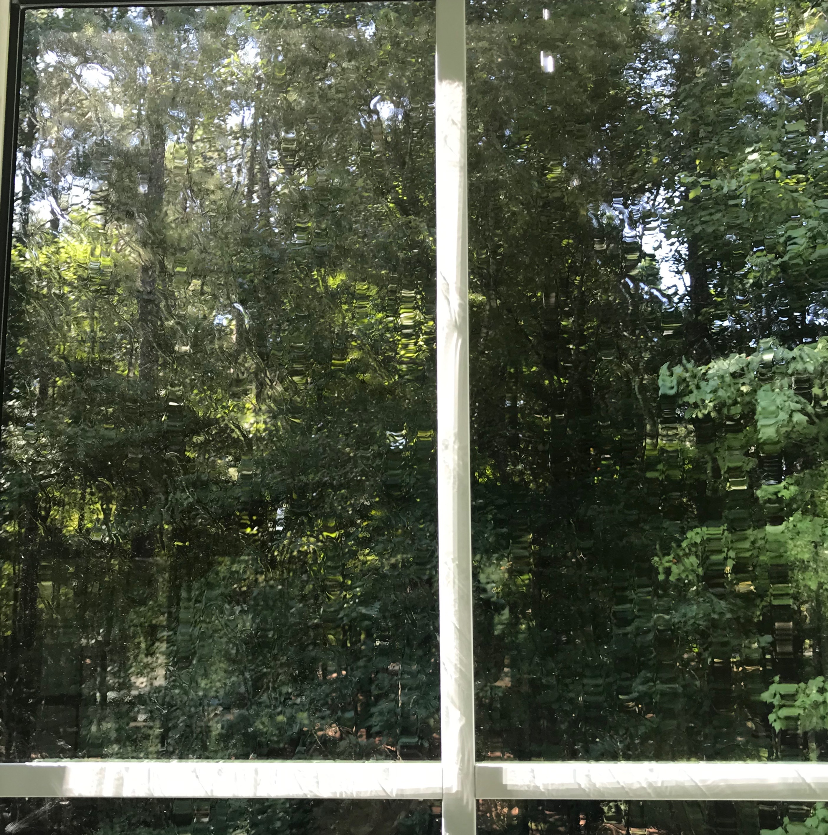Residential Window Cleaning in Atlanta, GA