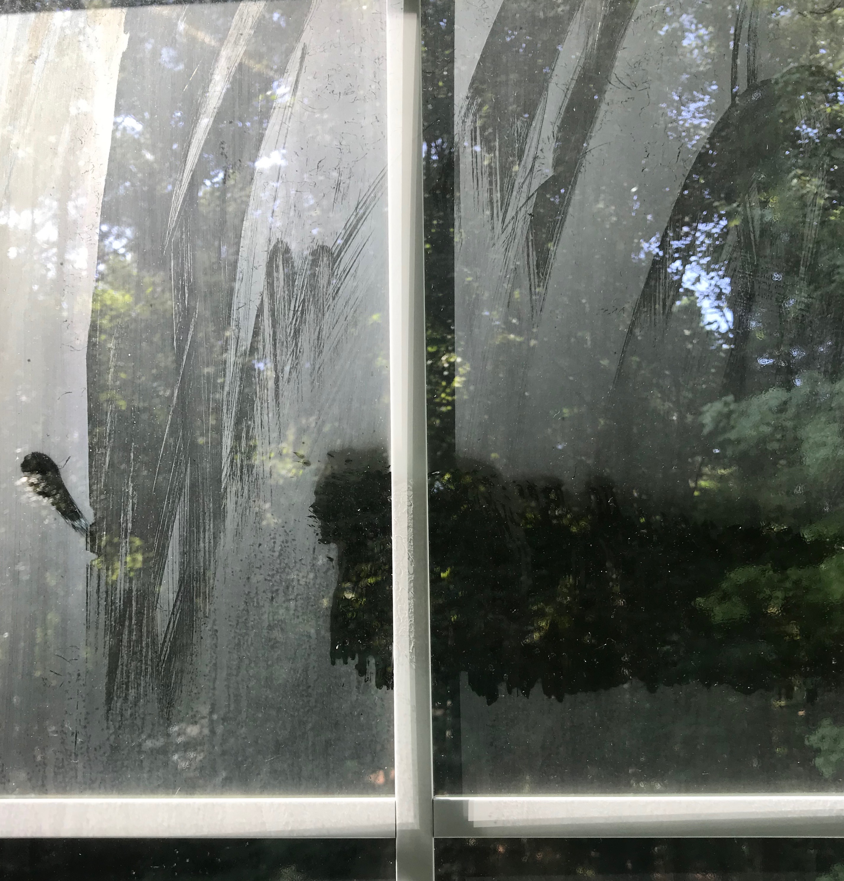 Residential Window Cleaning in Atlanta, GA